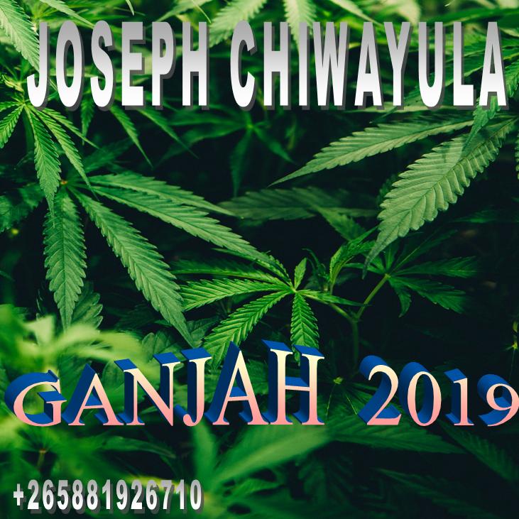 Ganjah 2019 Ganjah 2019